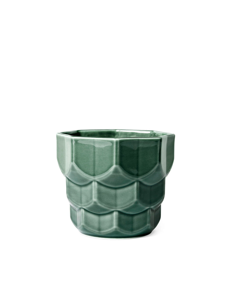 SAMSURIUM FLOWERPOT SMALL SPRUCE