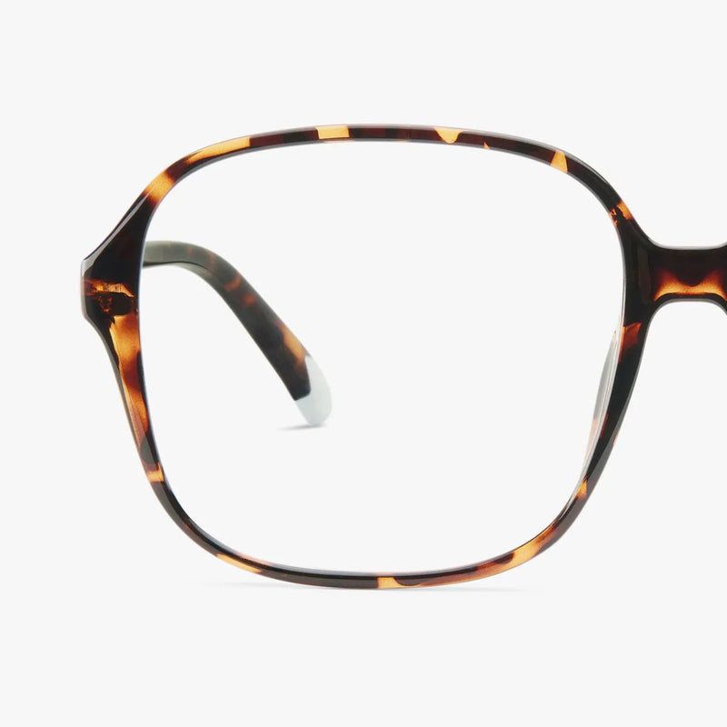 Pascal Glossy Lesgleraugu